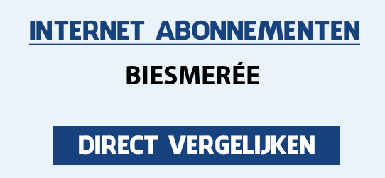 internet vergelijken biesmeree