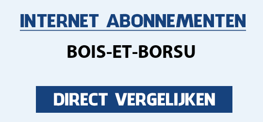 internet vergelijken bois-et-borsu