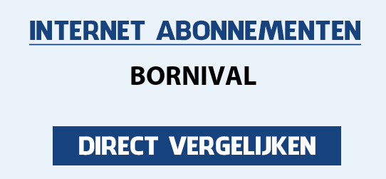 internet vergelijken bornival