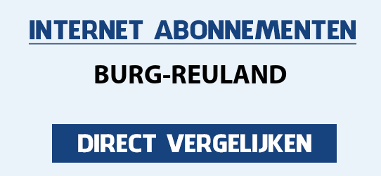 internet vergelijken burg-reuland