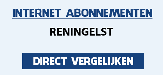 internet vergelijken reningelst